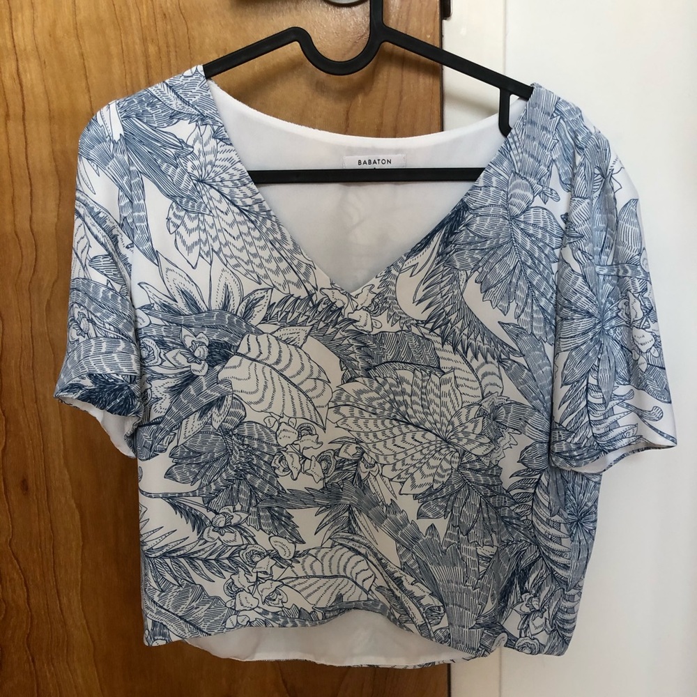 Babaton (aritzia) Nice Top